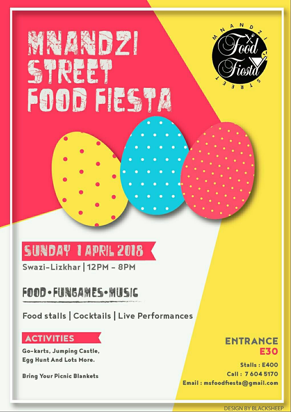 Mnandzi Street Food Fiesta Pic